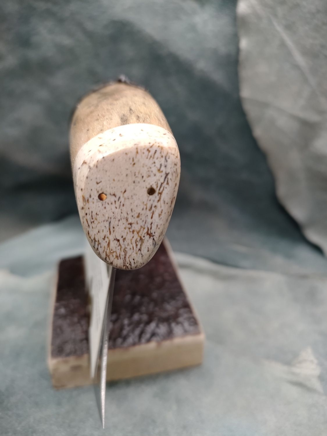 Fossilized Pacific Walrus Rib Bone, Mammoth Bone, and Moose Antler Ulu