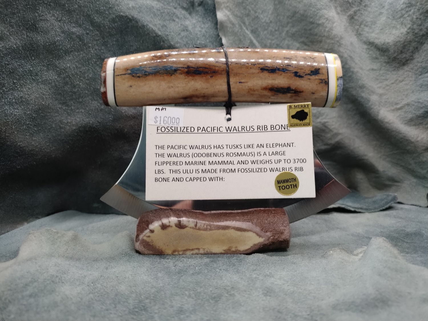 Fossilized Pacific Walrus Rib Bone, Mammoth Tooth, and Moose Antler Ulu