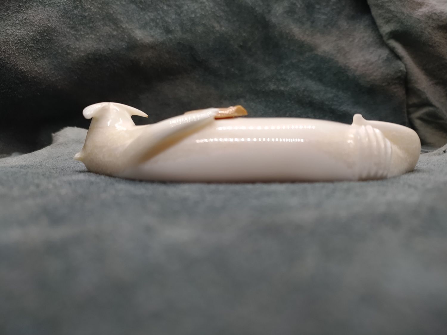 Floating Otter with Shell