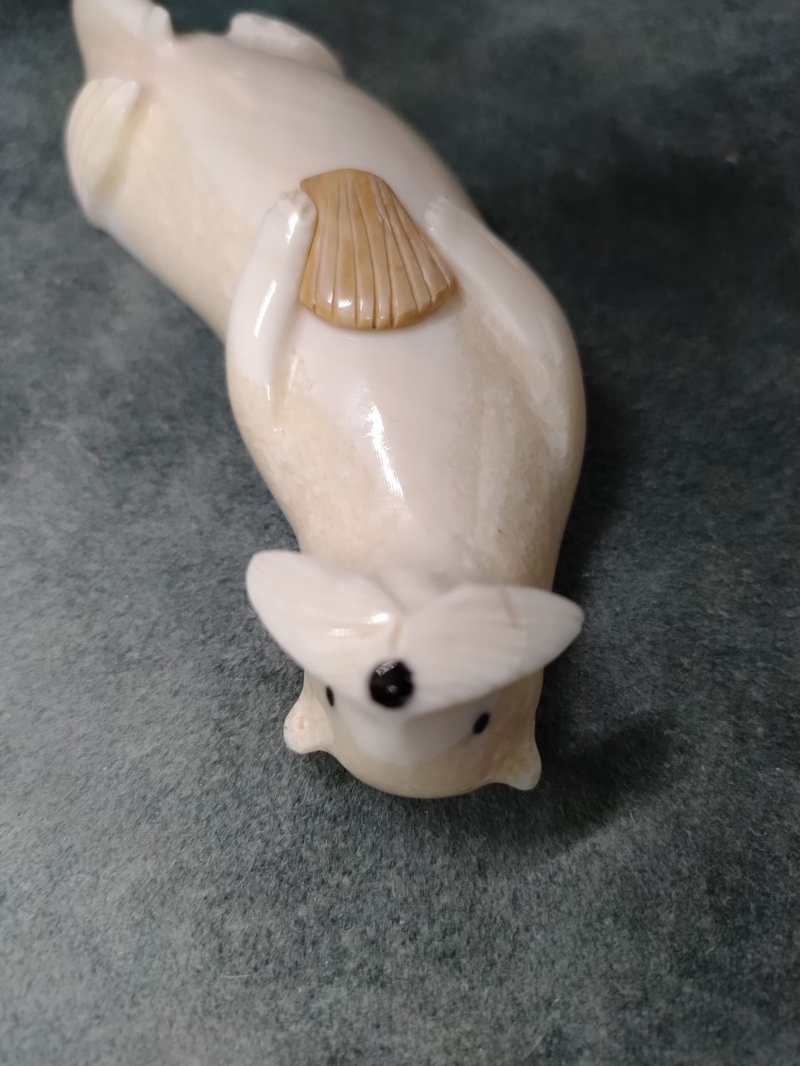 Floating Otter with Shell