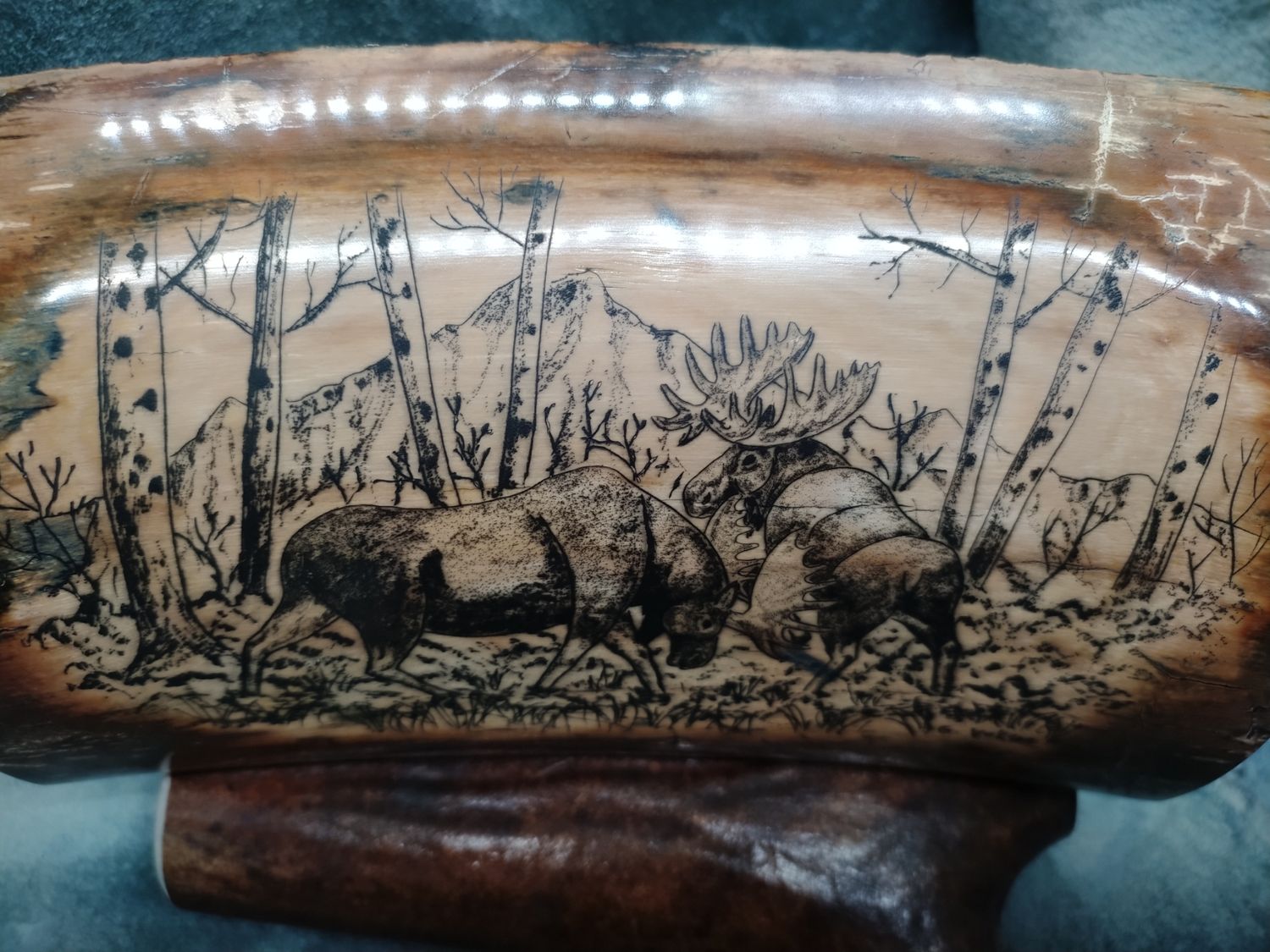 Moose Scrimshaw on  Fossil Mammoth Ivory 