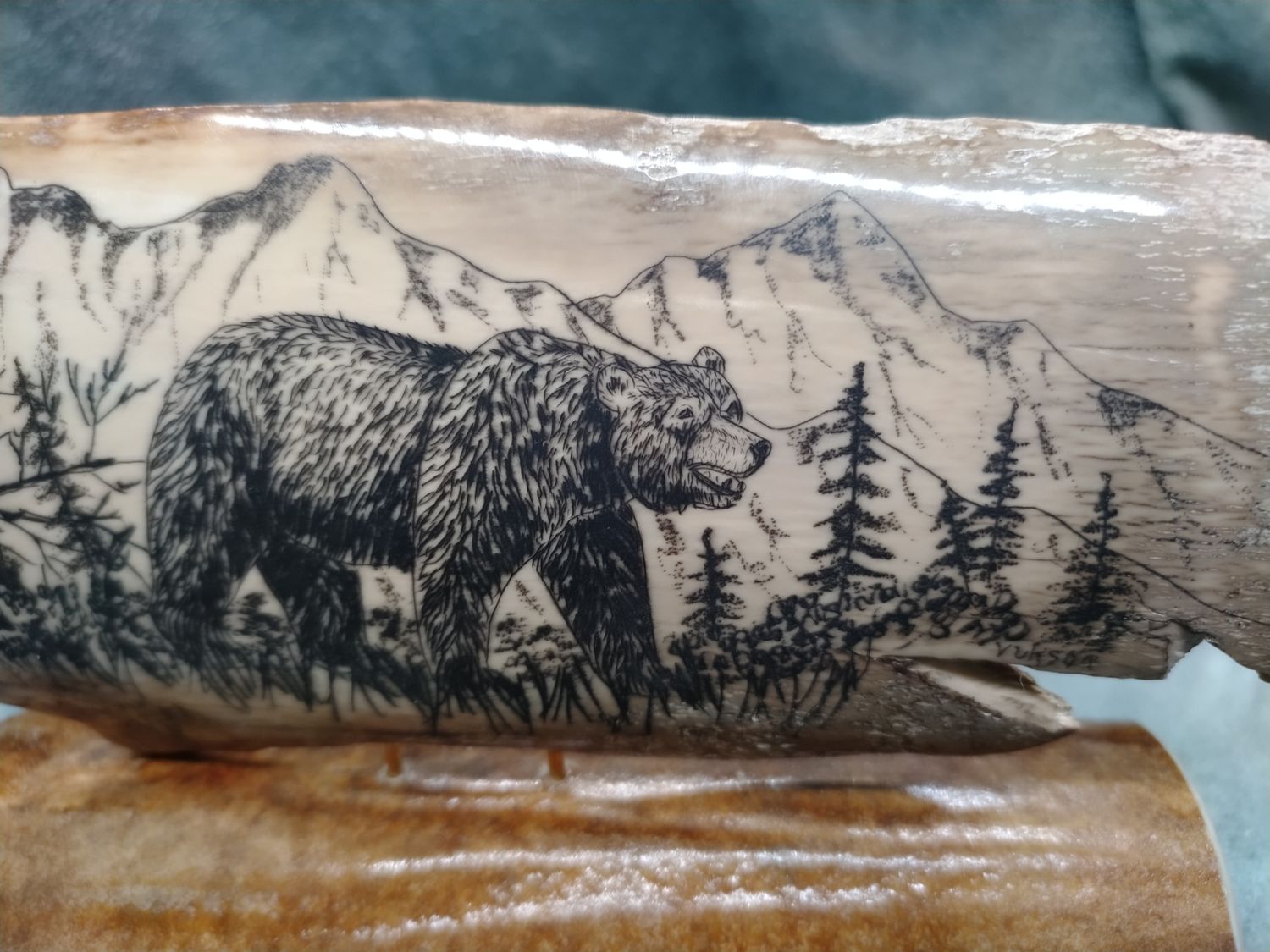 Bear Scrimshaw on Fossil Mammoth Ivory 