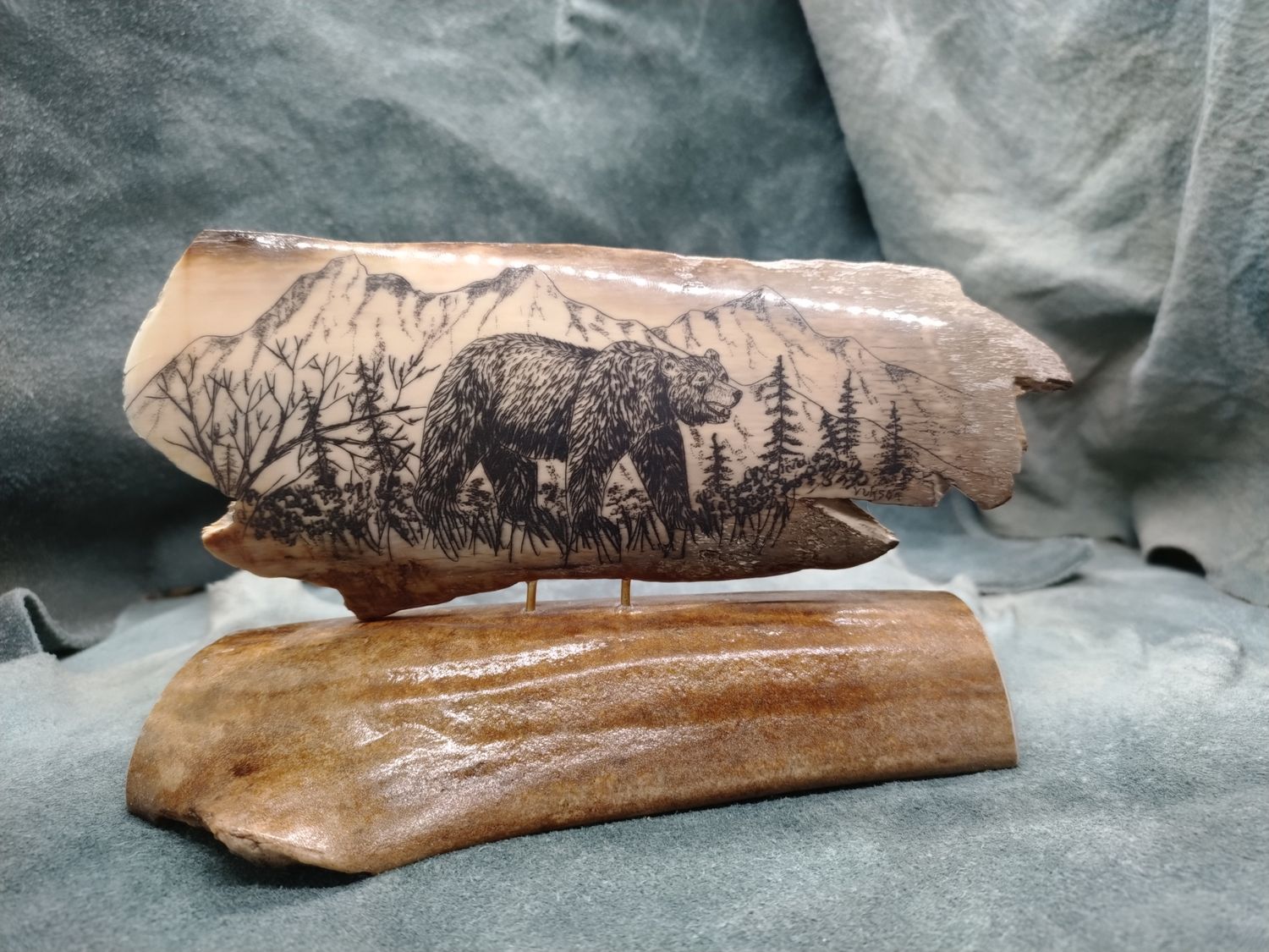 Bear Scrimshaw on Fossil Mammoth Ivory 
