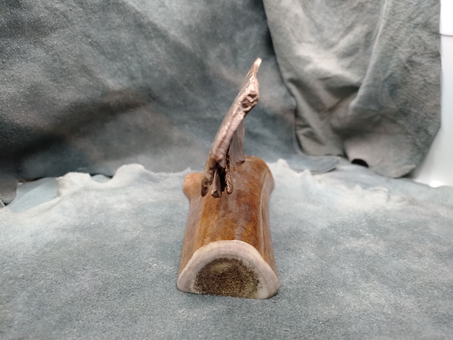 Bear Scrimshaw on Fossil Mammoth Ivory 