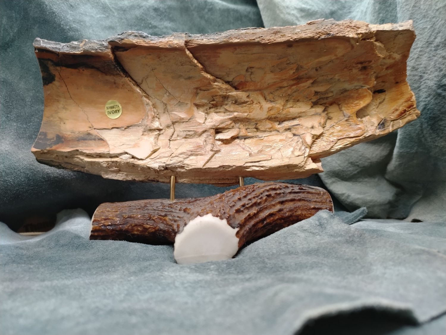 Eagle Scrimshaw on Fossil Mammoth Ivory 