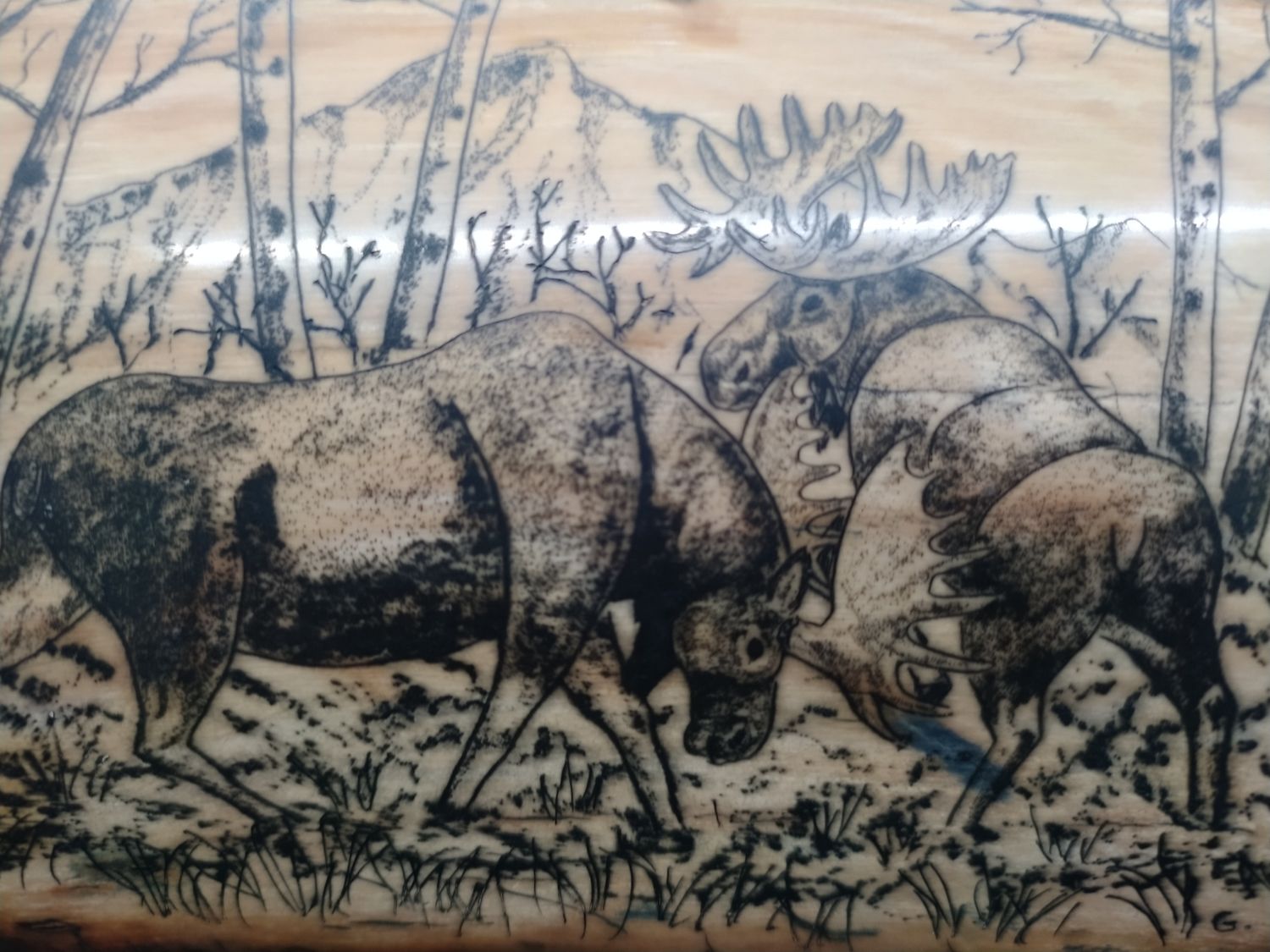 Moose Scrimshaw on  Fossil Mammoth Ivory 