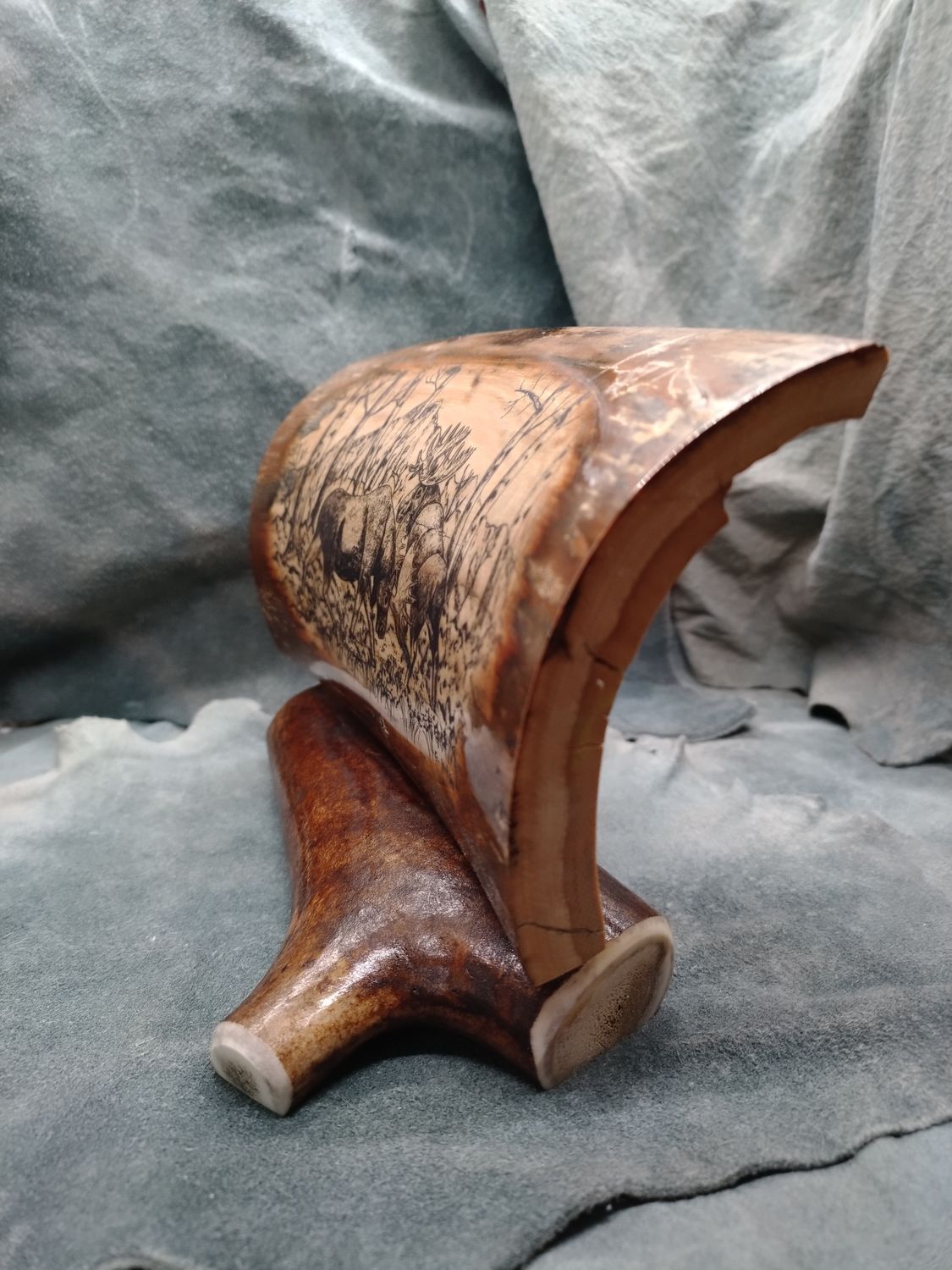 Moose Scrimshaw on  Fossil Mammoth Ivory 