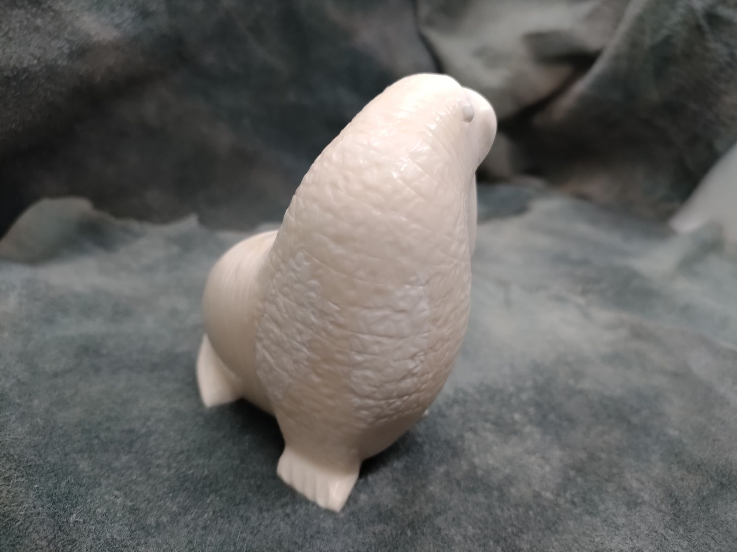 Walrus