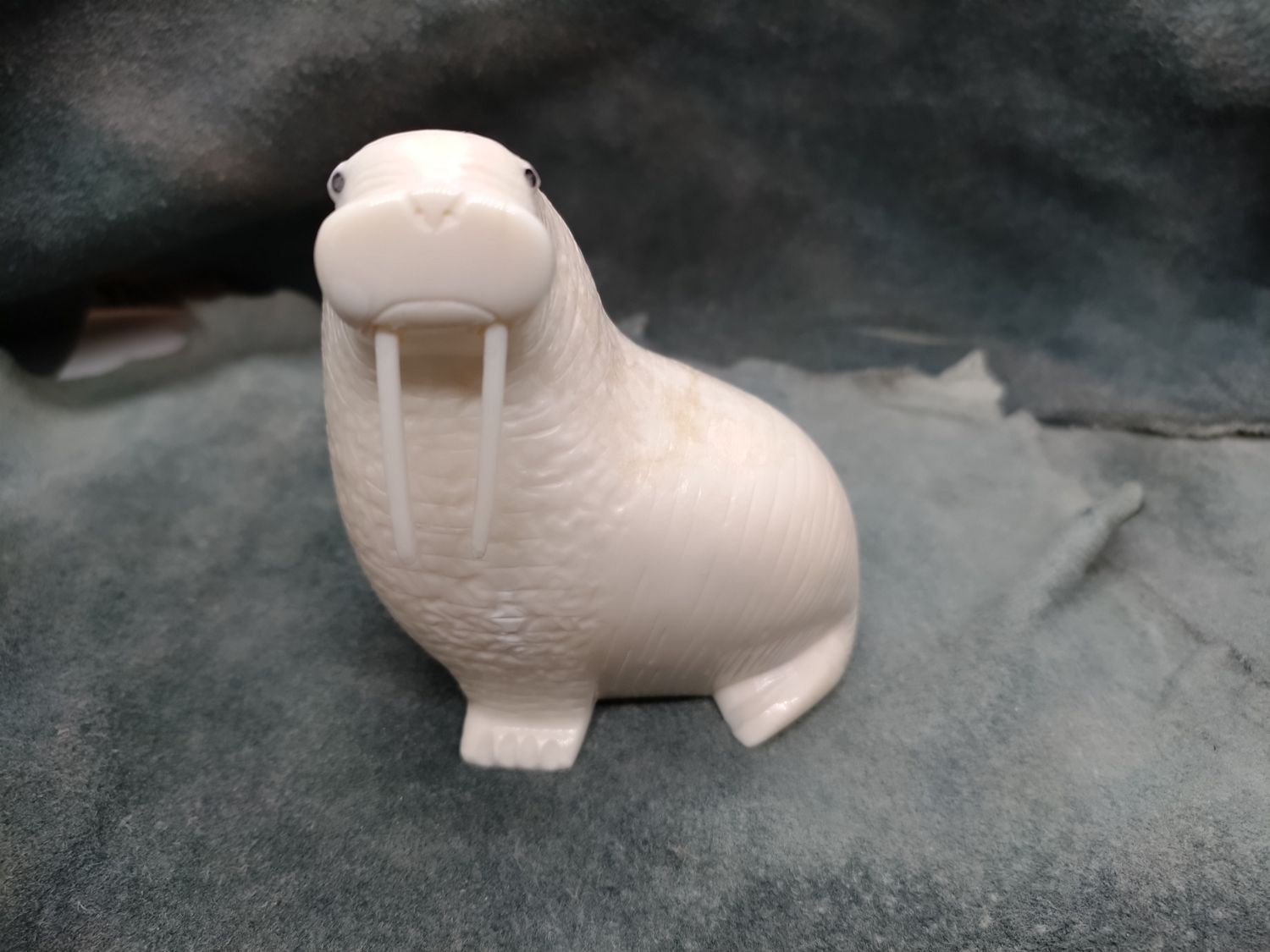 Walrus