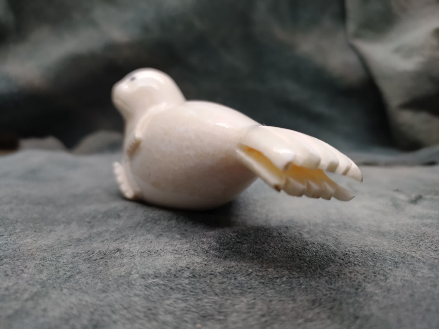 Seal