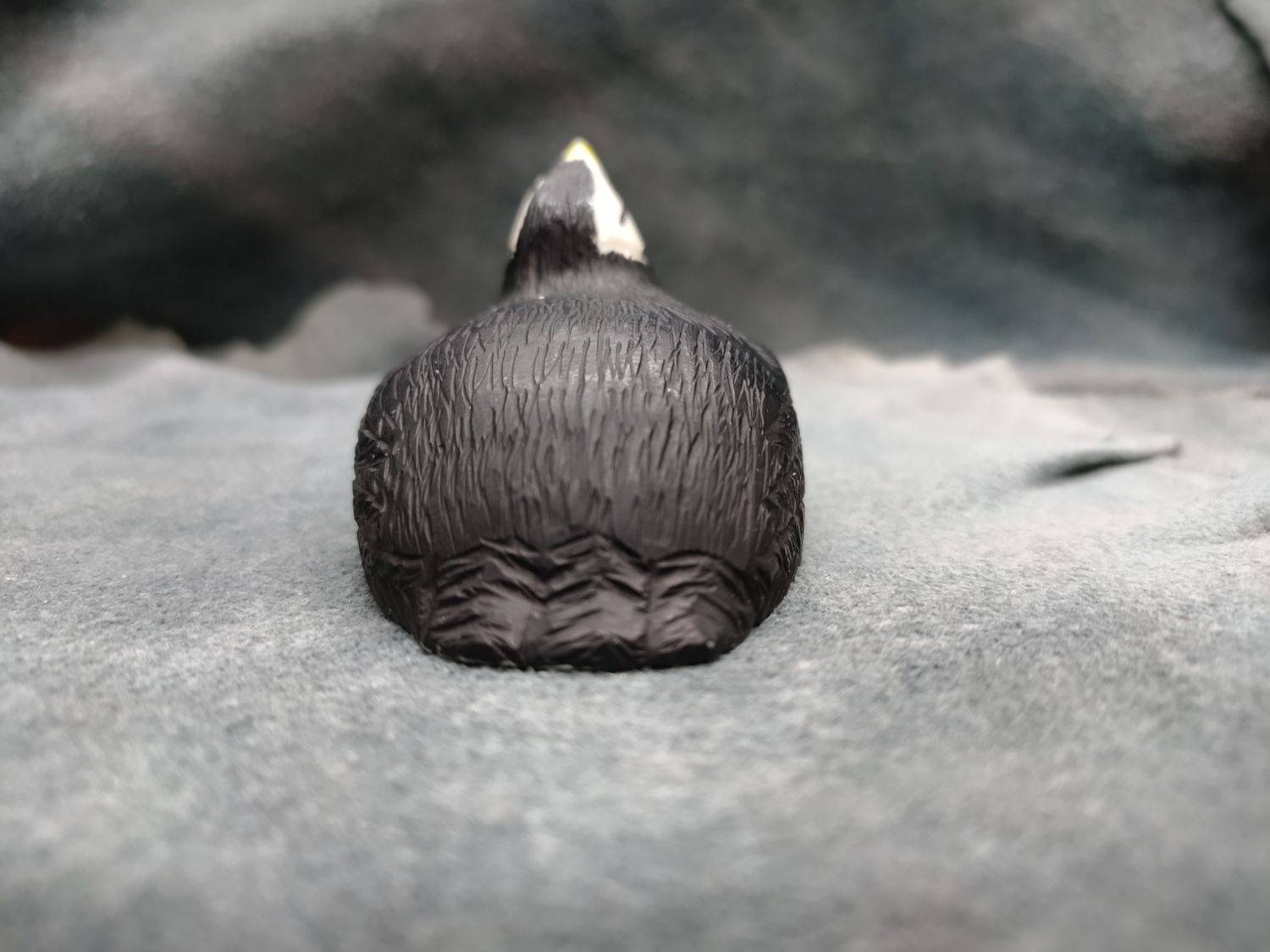 Puffin