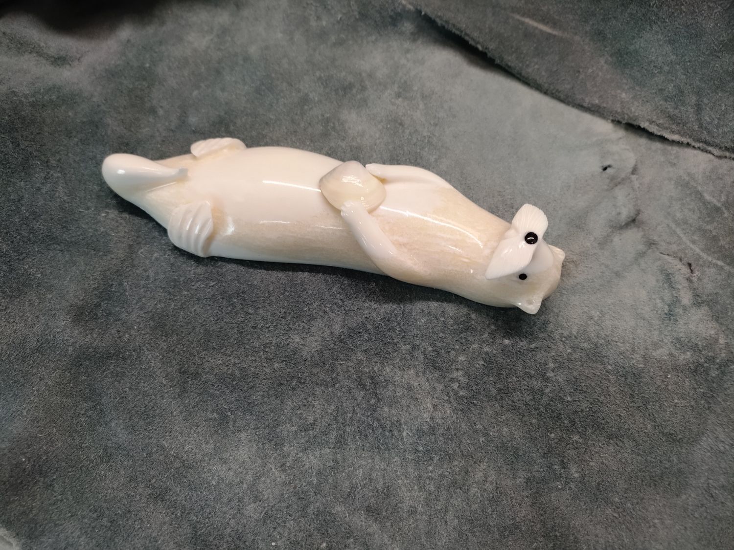 Sea Otter with Shell