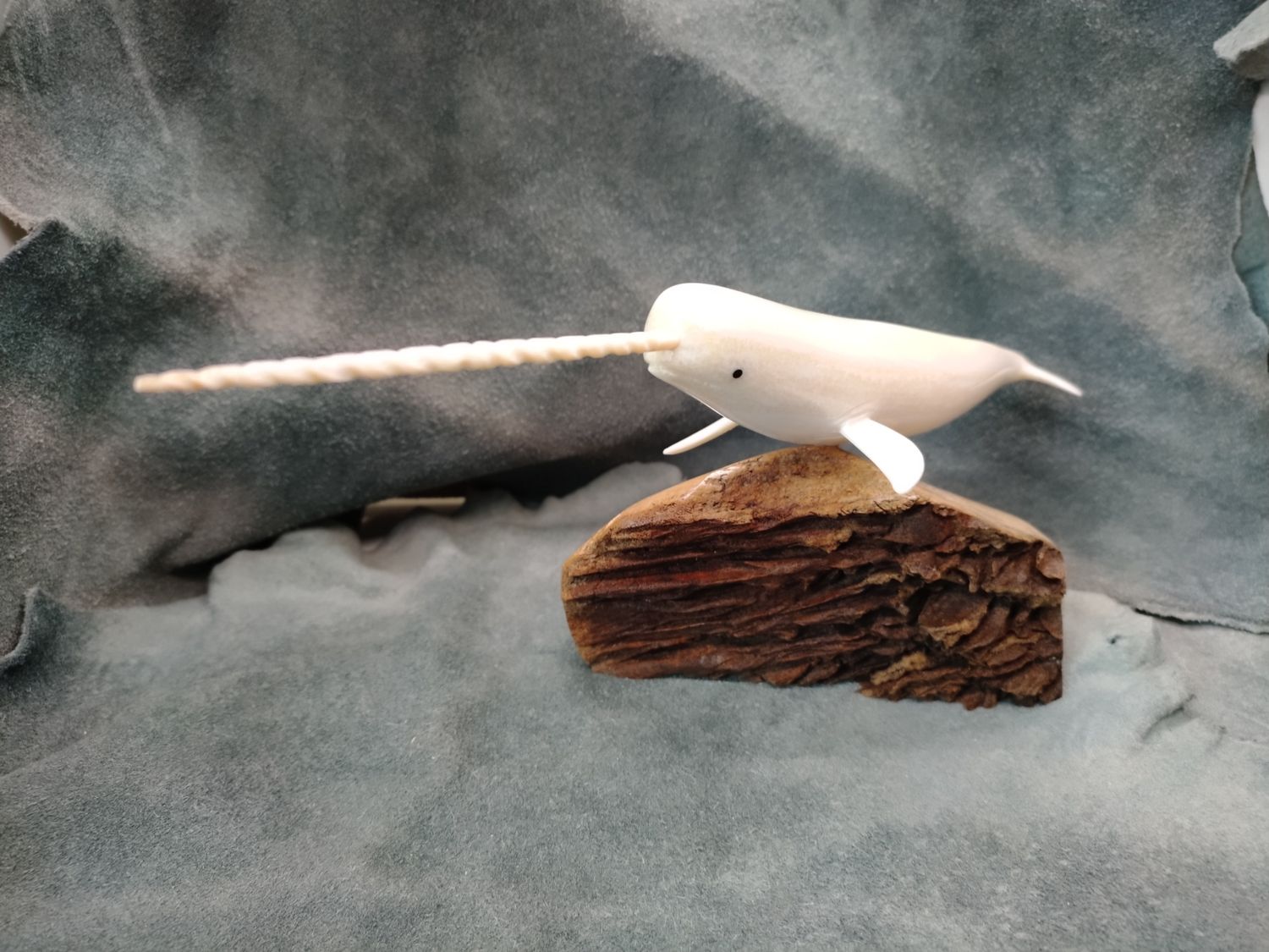 Mounted Narwhal 