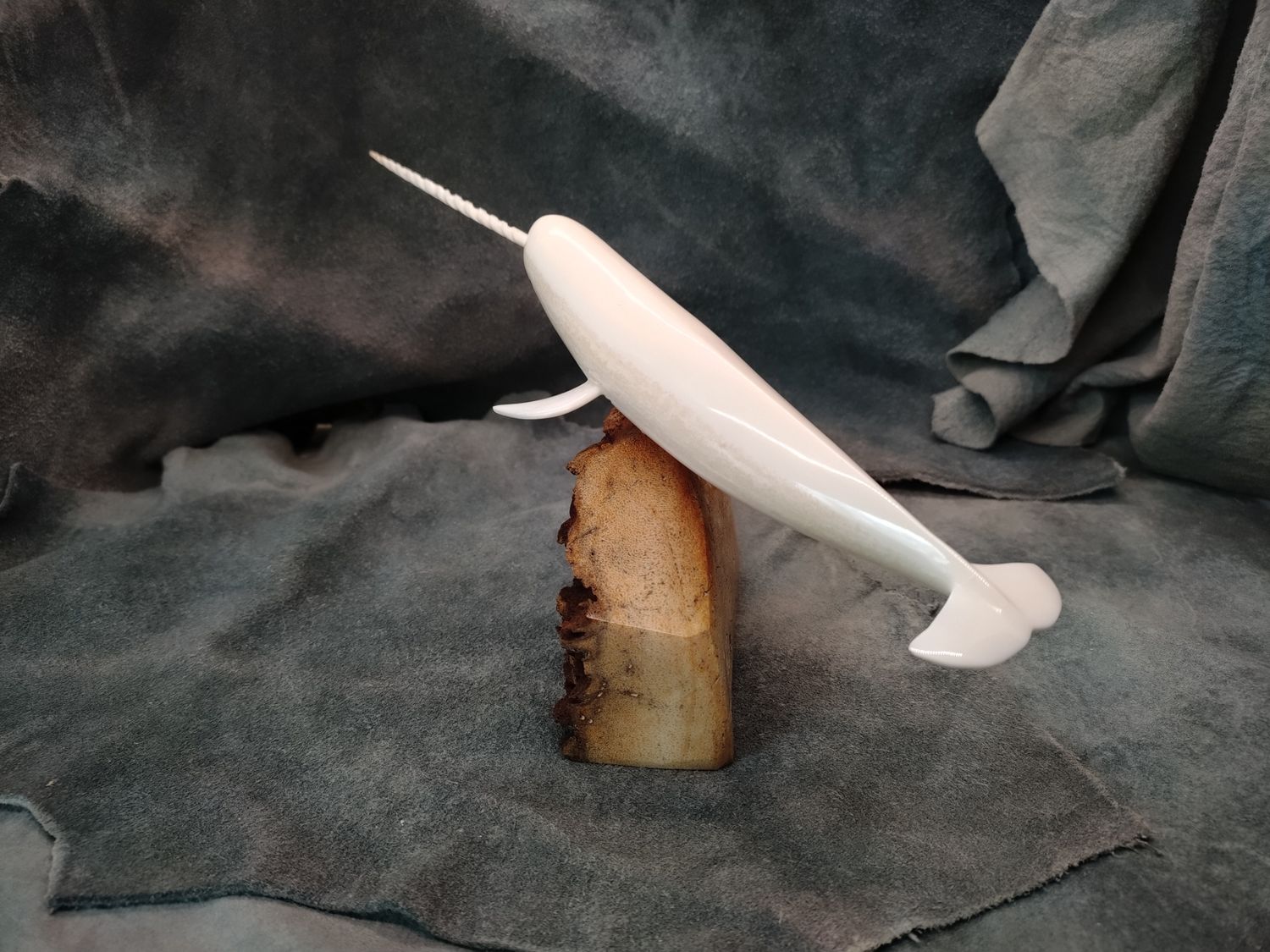 Mounted Narwhal 