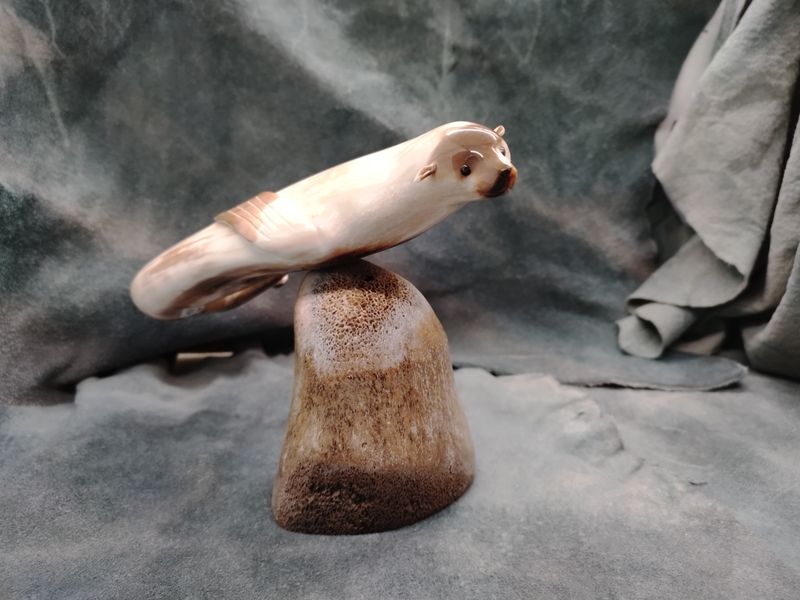 Mounted Swimming Seal