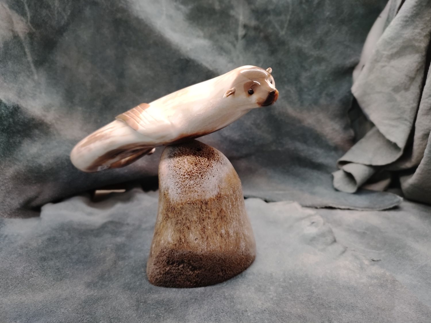 Mounted Swimming Seal
