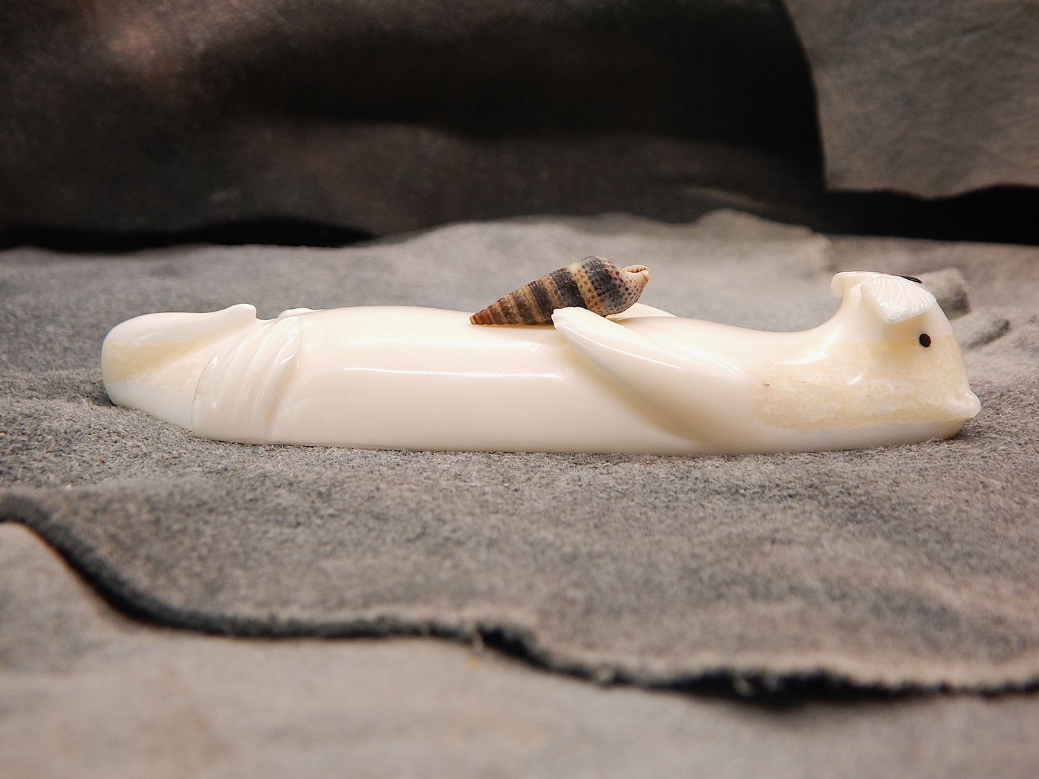 Otter With Sea Shell