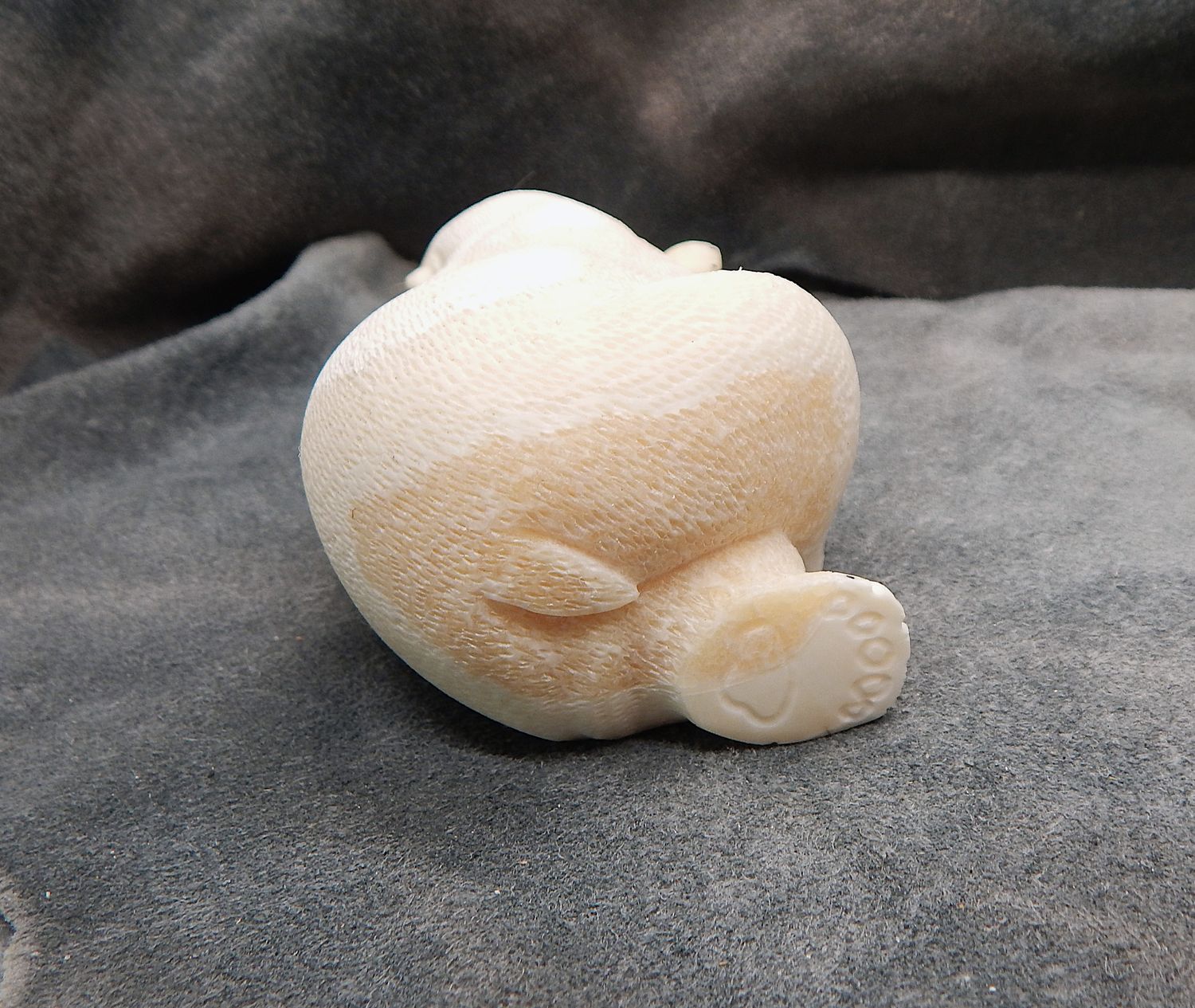 Textured Sleeping Polar Bear