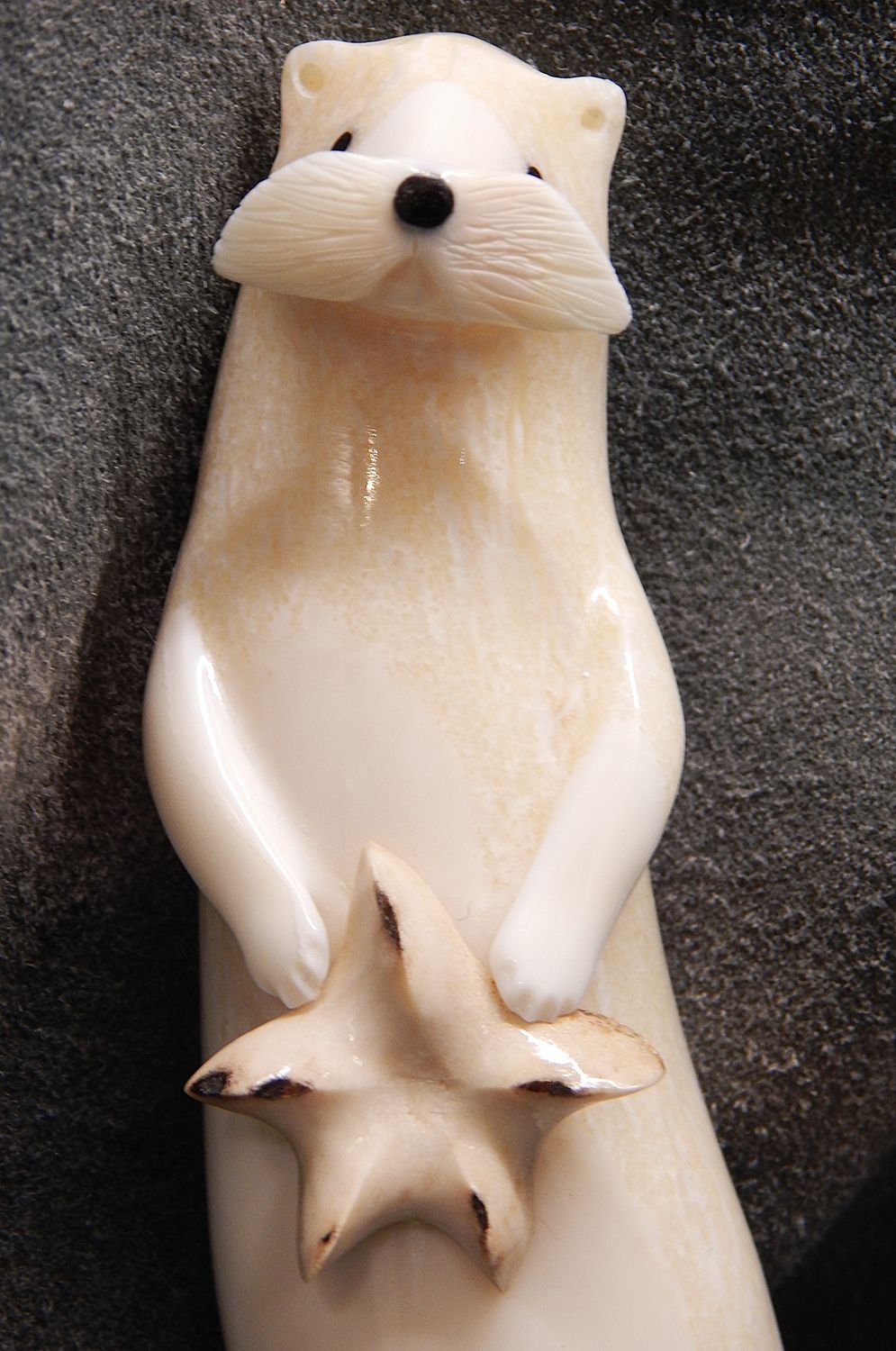 Floating Sea Otter with Sea Star