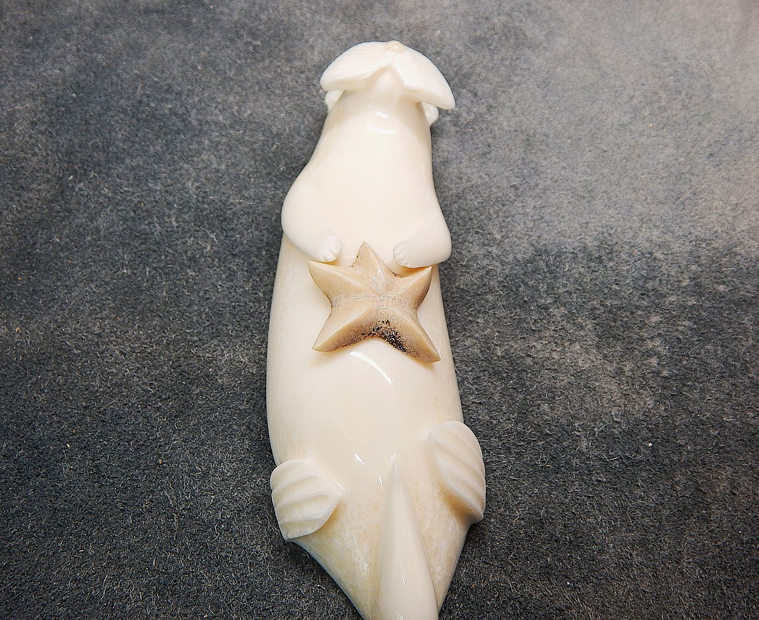 Floating Sea Otter With Sea Star