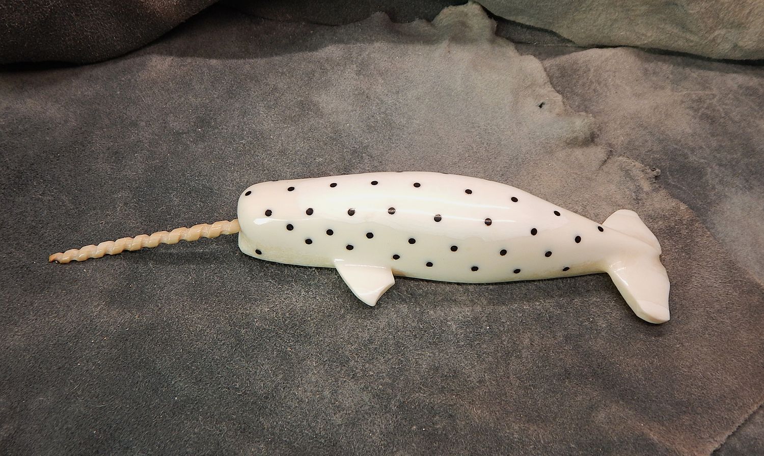 Spotted Narwhal