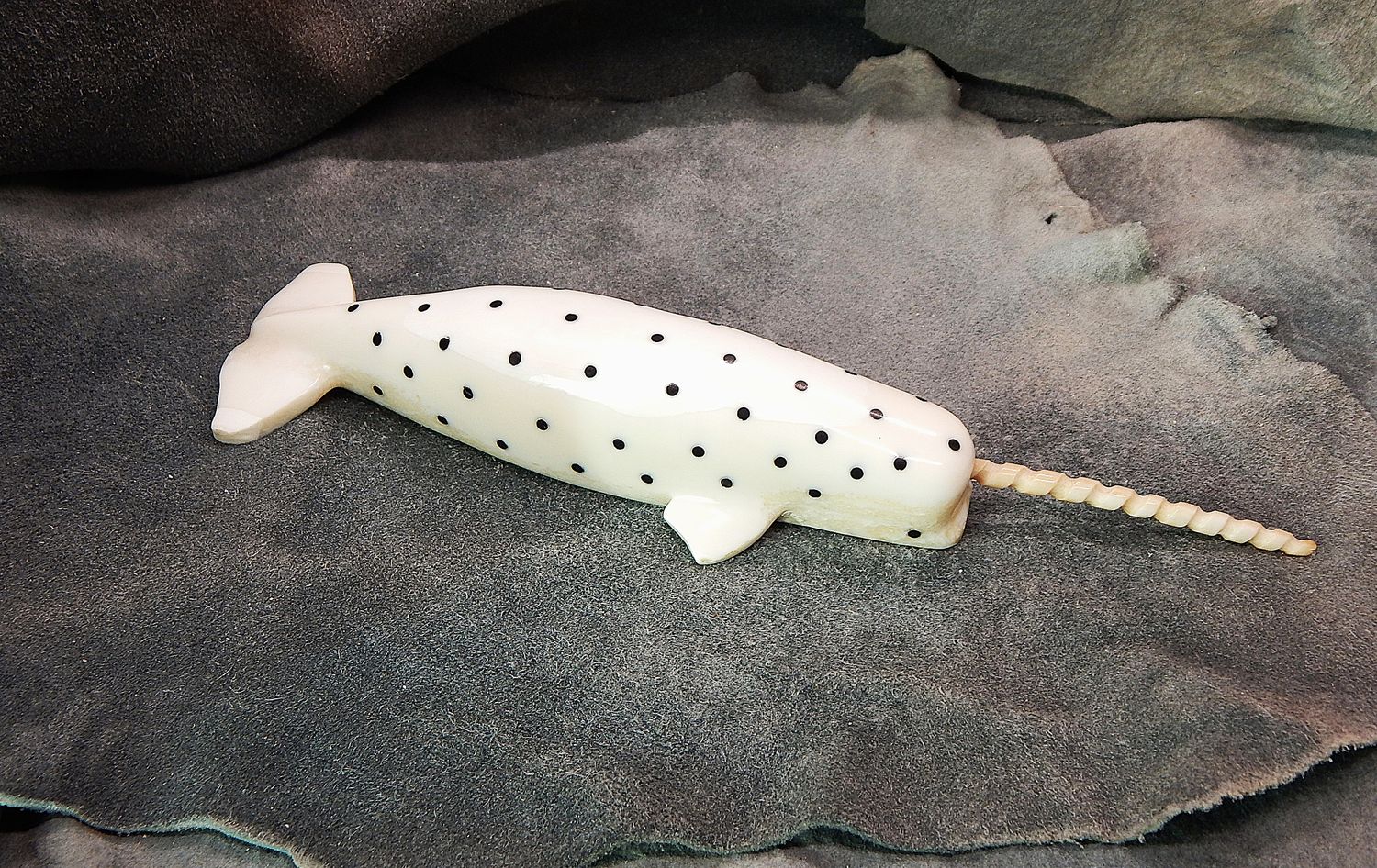 Spotted Narwhal