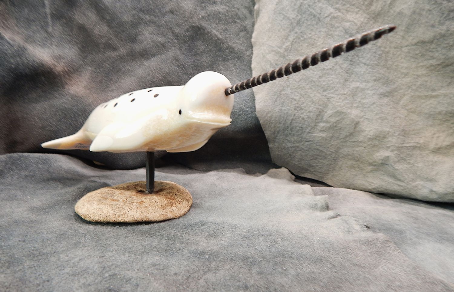 Spotted Narwhal on Base