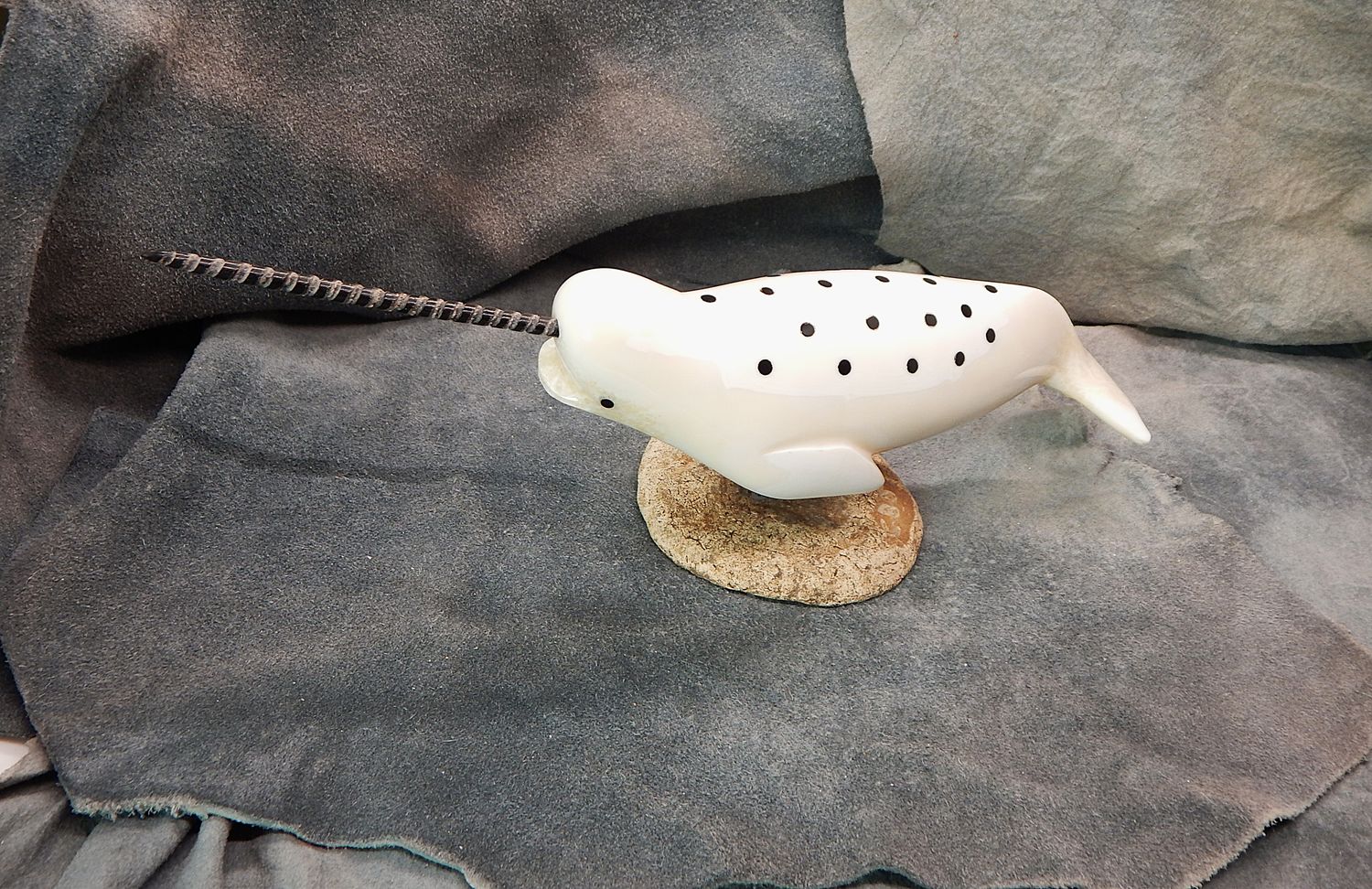 Spotted Narwhal on Base