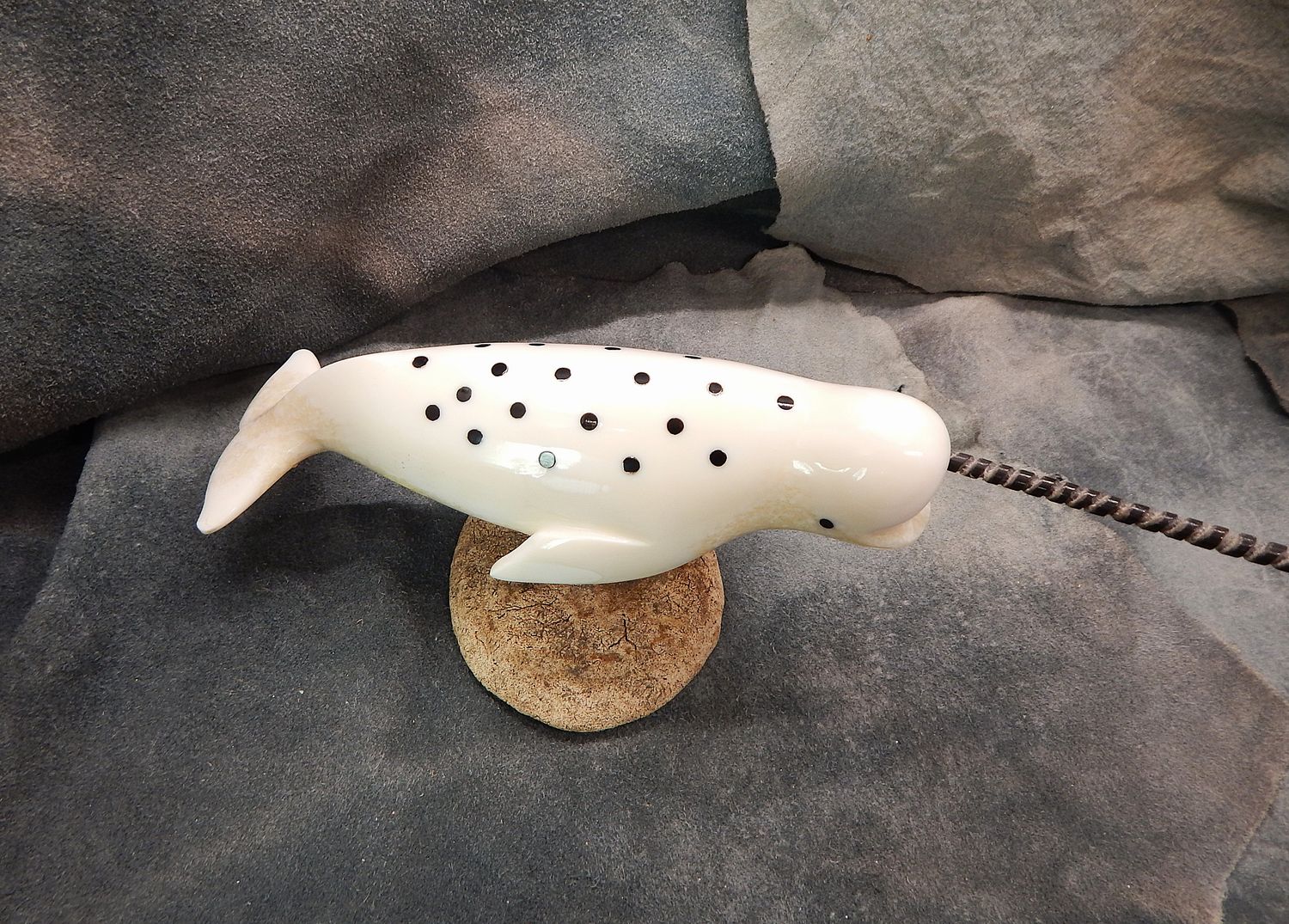 Spotted Narwhal on Base