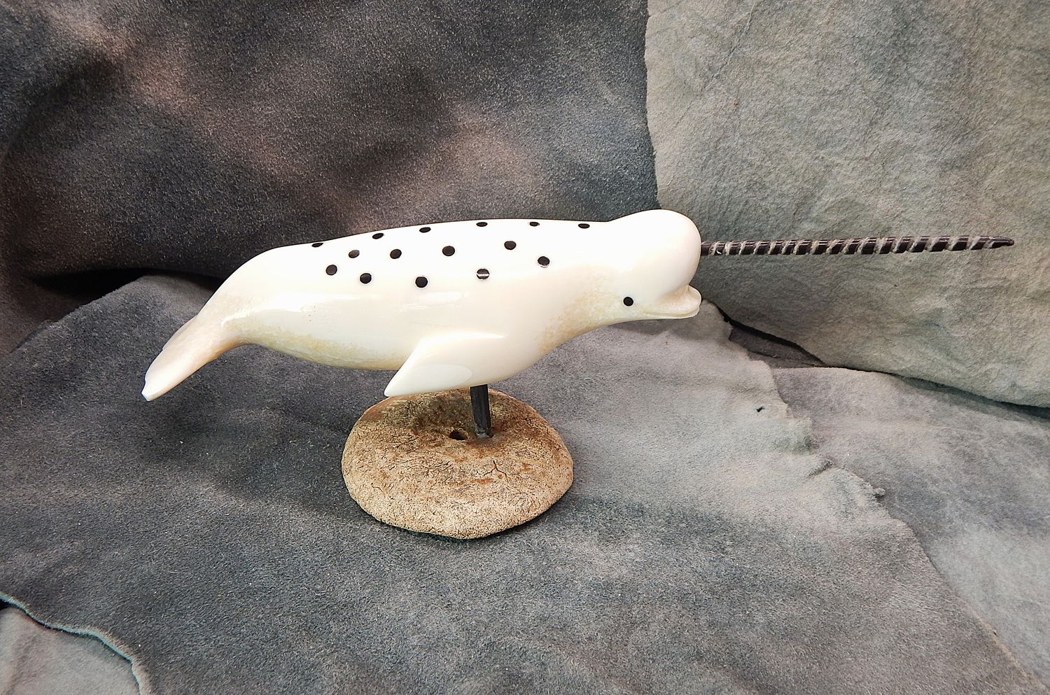 Spotted Narwhal on Base