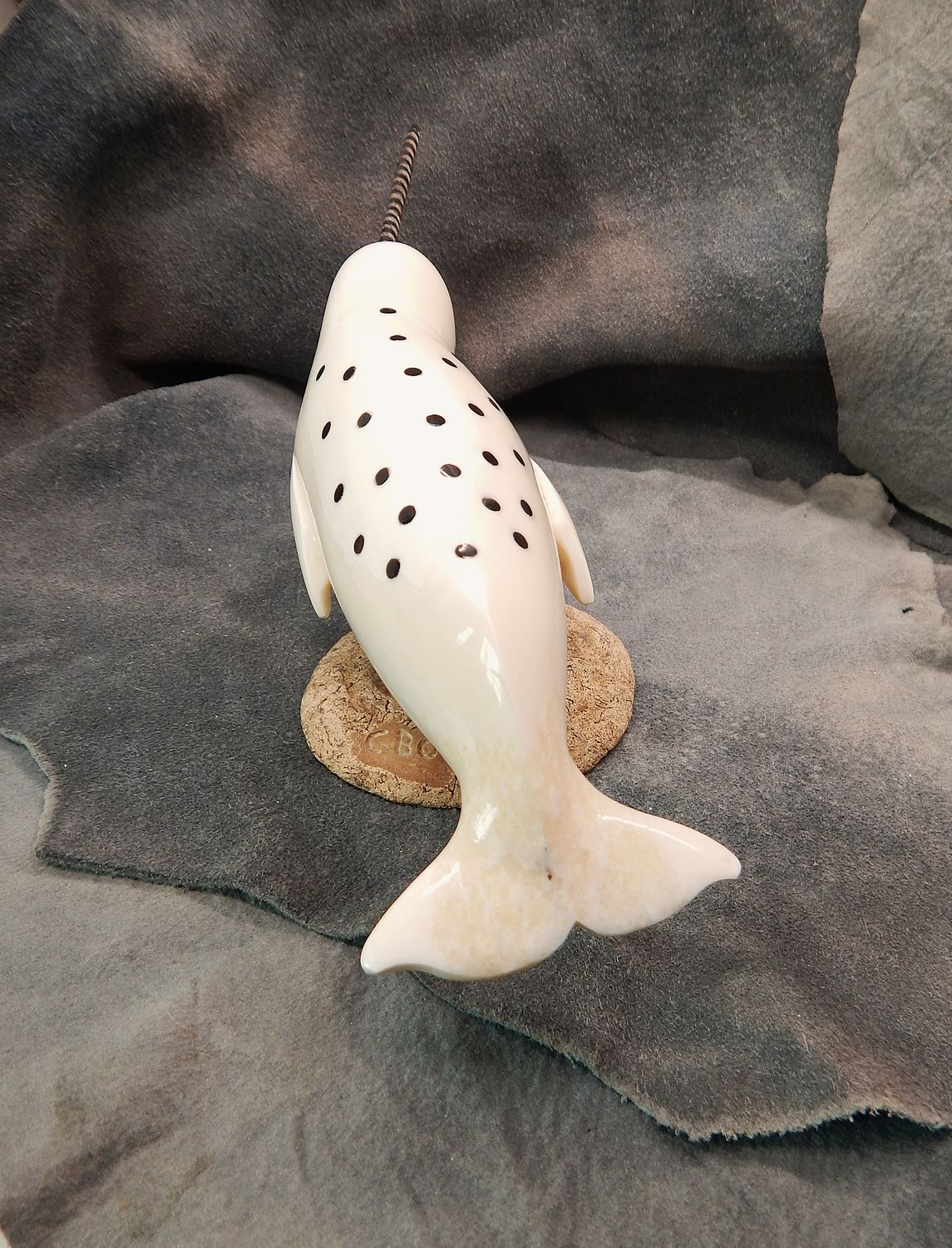 Spotted Narwhal on Base