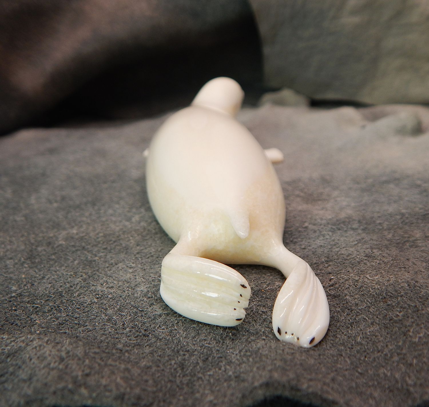 Walrus Ivory Seal