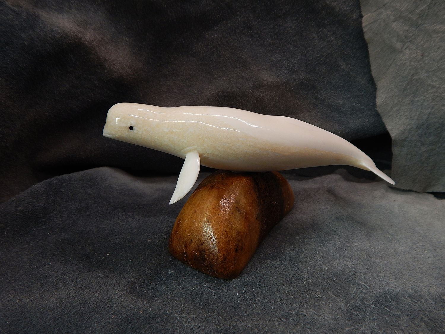 Beluga Whale