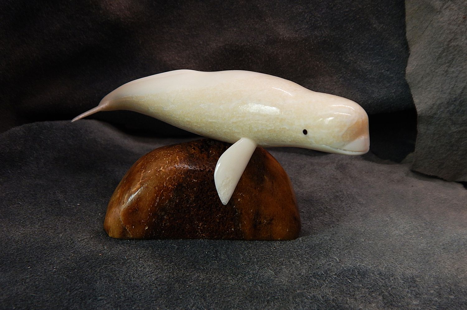 Beluga Whale