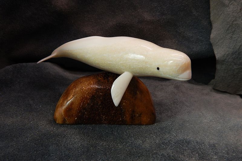 Beluga Whale