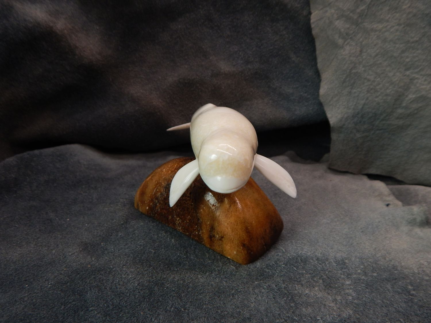 Beluga Whale