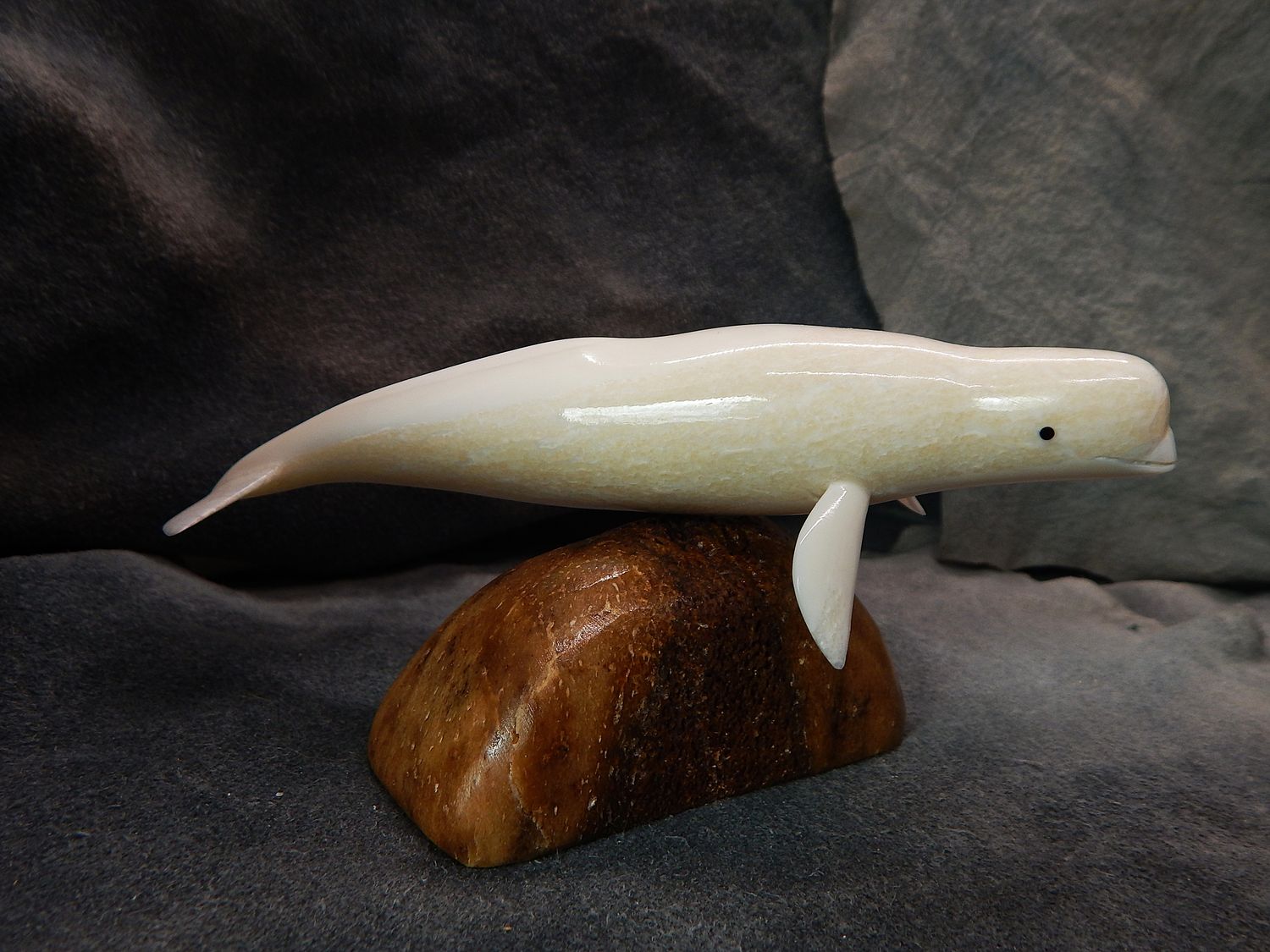 Beluga Whale