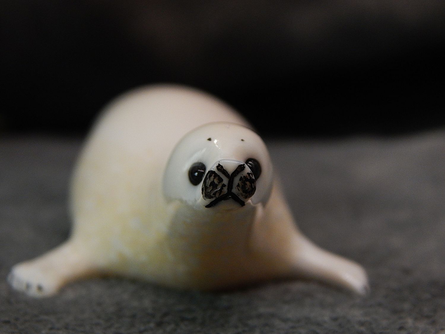 Resting Seal