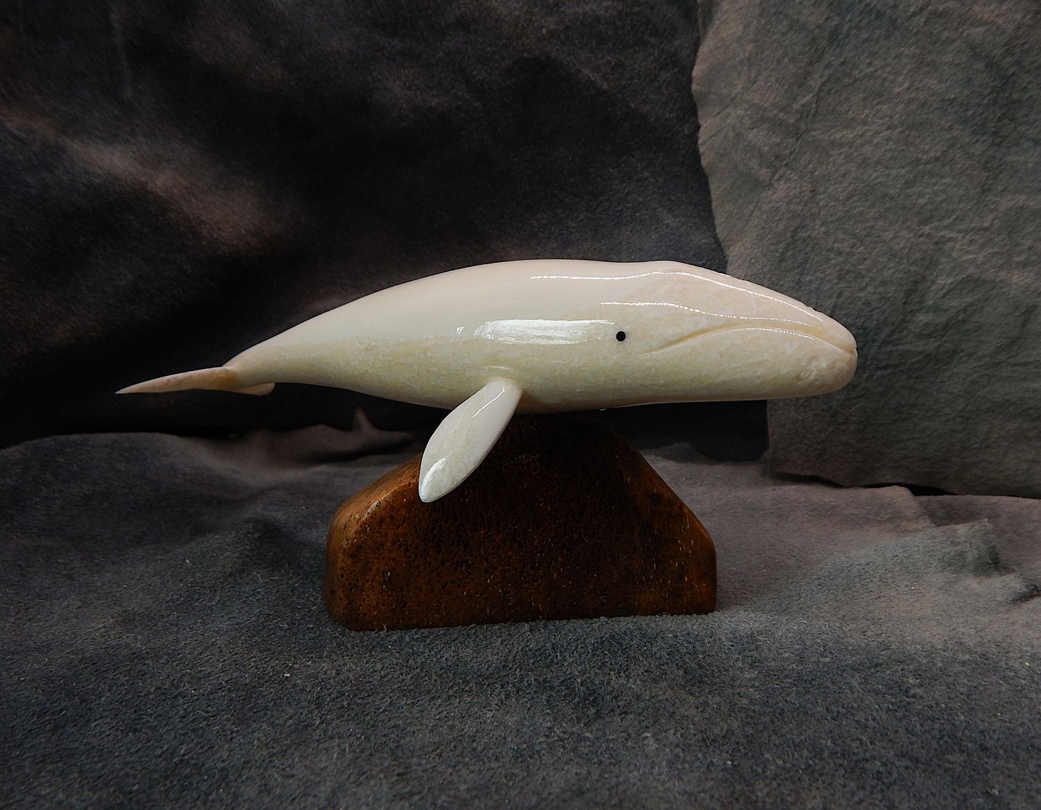 Grey Whale