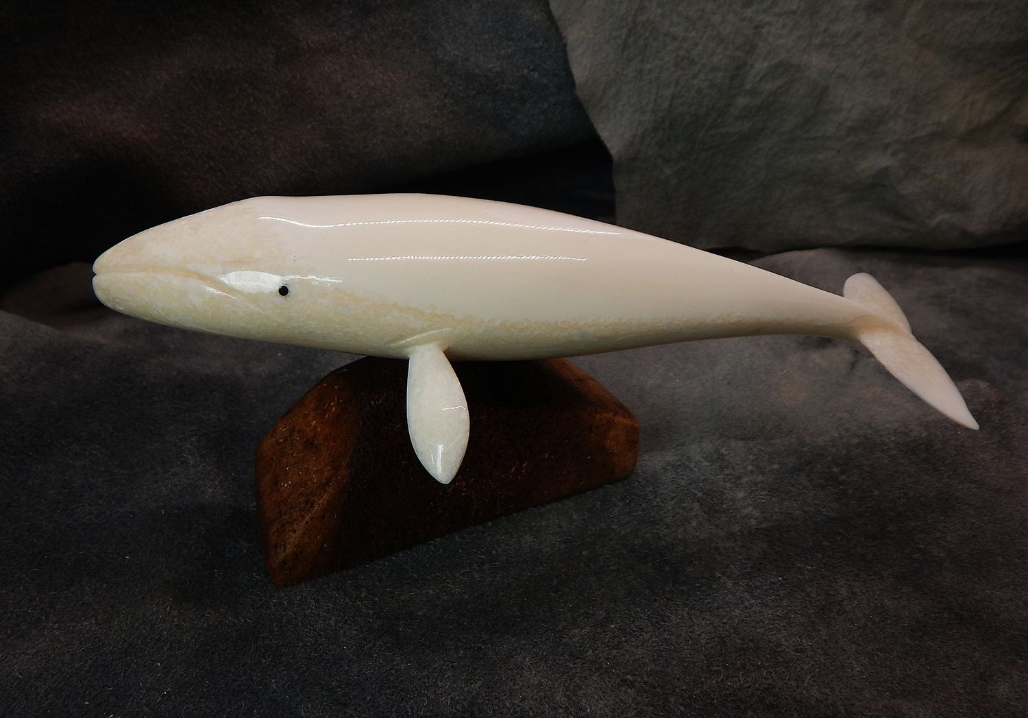 Grey Whale