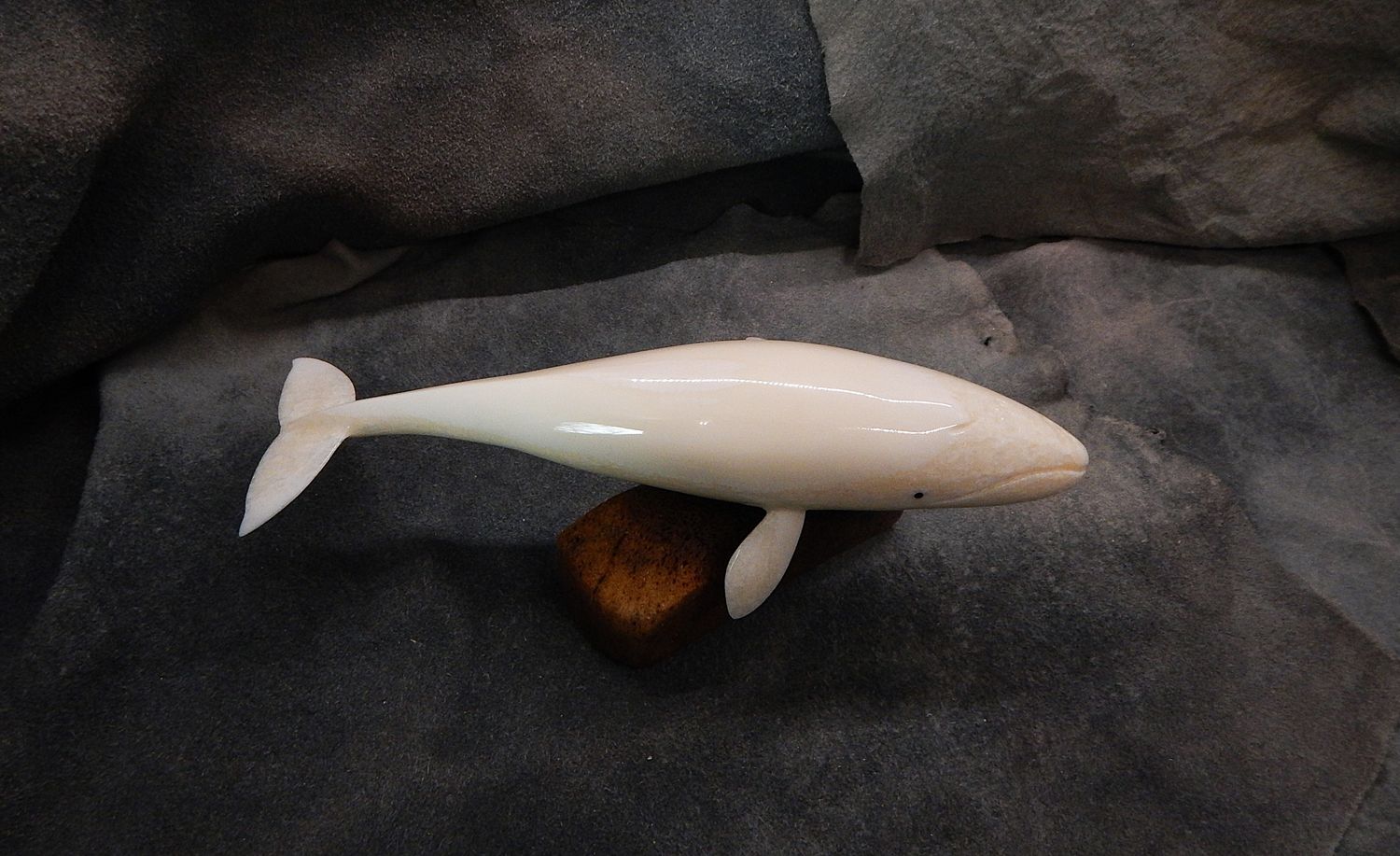 Grey Whale