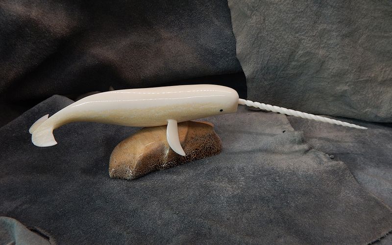 Narwhal