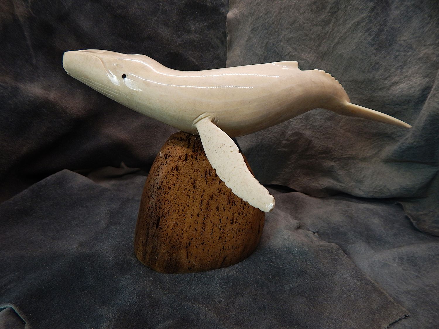 Fossilized Walrus Jawbone Humpback Whale