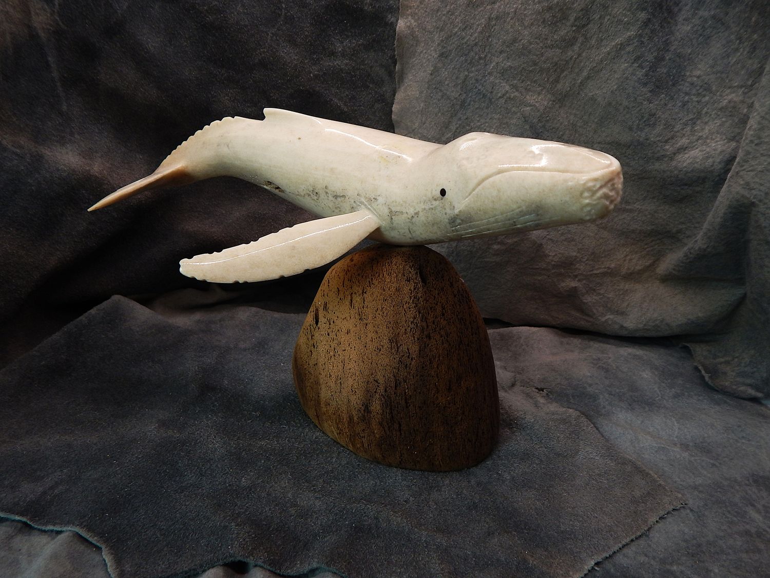 Fossilized Walrus Jawbone Humpback Whale