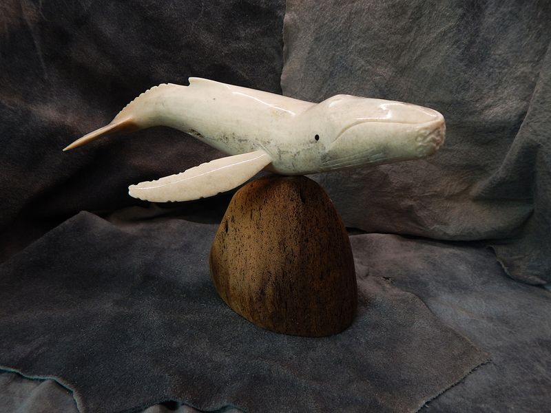 Fossilized Walrus Jawbone Humpback Whale