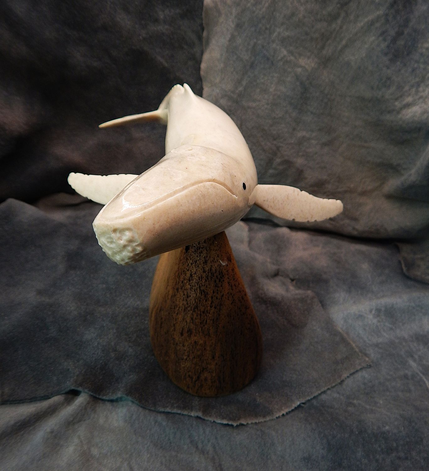 Fossilized Walrus Jawbone Humpback Whale
