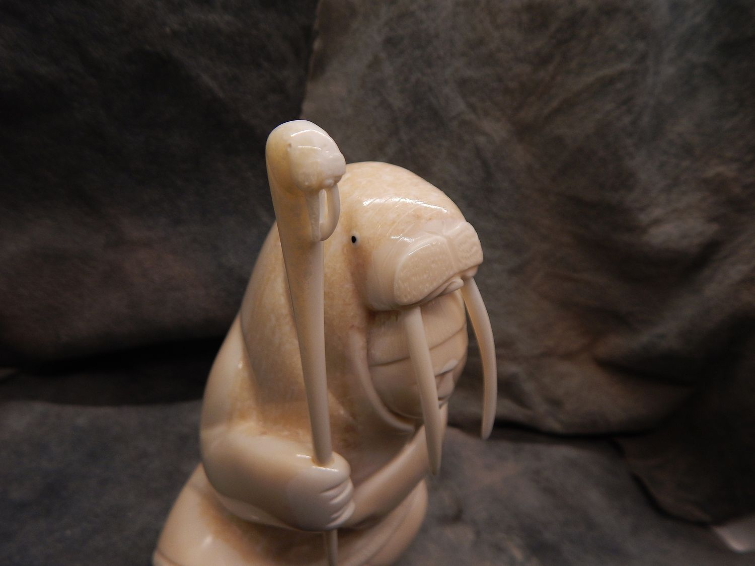 Walrus Shaman