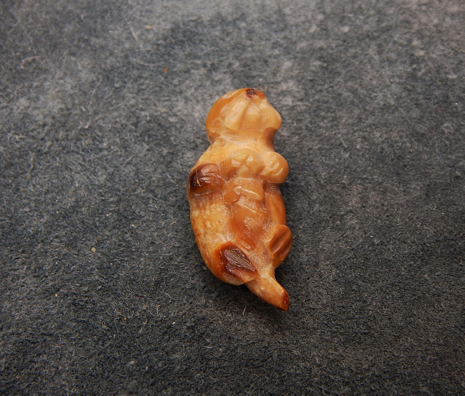 Floating Sea Otter With Pup