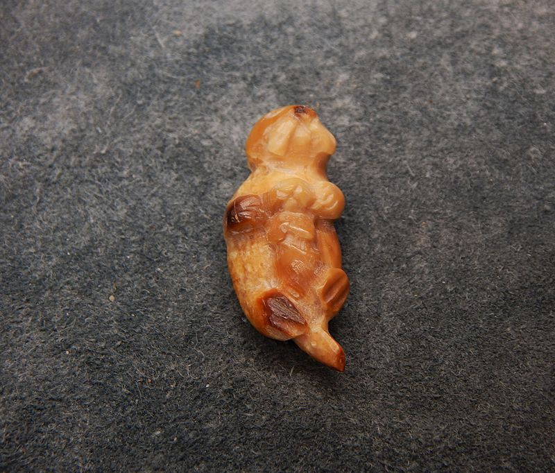 Floating Sea Otter With Pup