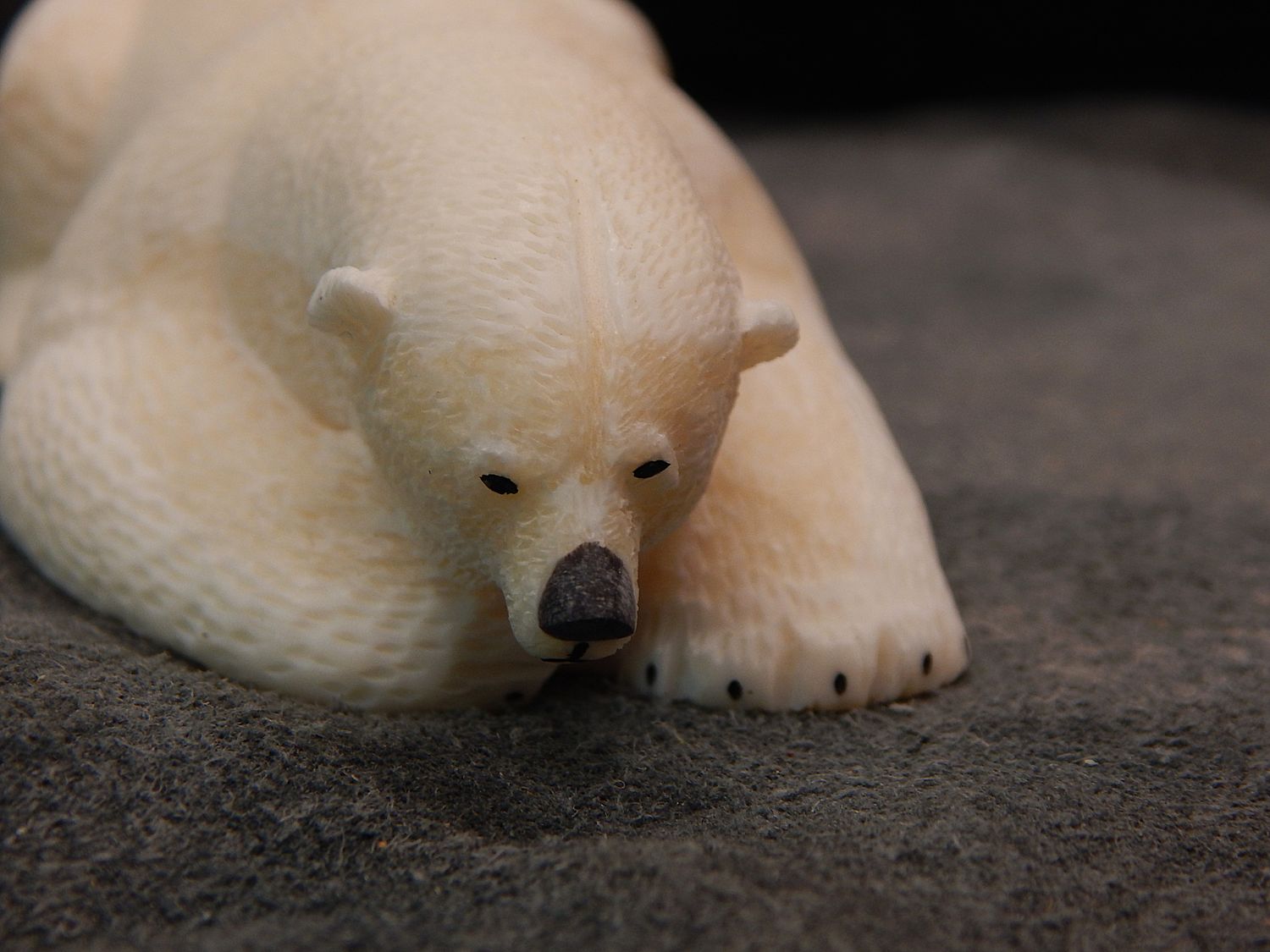 Polar Bear on New Ice